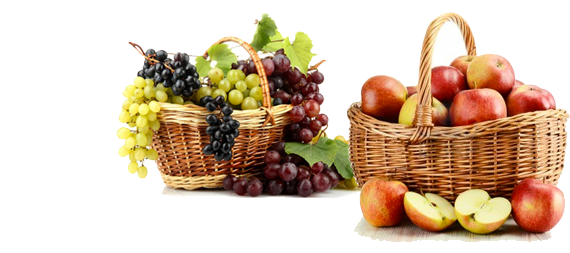 Devenez affilié Pressi Mobile - Pressage de fruits itinérant Devenez affilié Pressi Mobile - Pressage de fruits itinérant