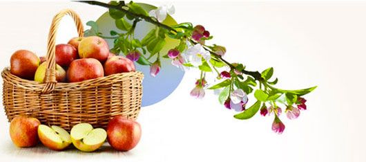 Pressage de fruits directement chez vous ! Pressage de fruits directement chez vous !