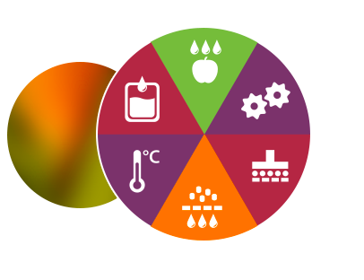 Etapes de fabrication d'un jus de fruits