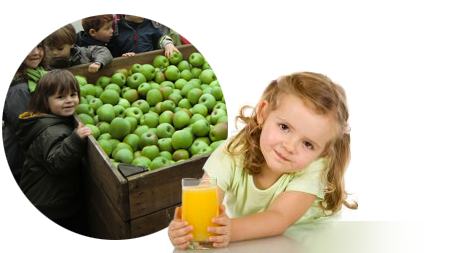 Pressage de fruits pour association ou école