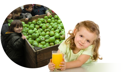 Pressage de fruits pour association ou école Pressage de fruits pour association ou école