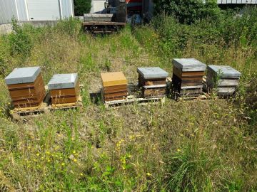 Ruches et abeilles de repeuplement.

Depuis 2013, Pressi-Mobile lutte activement contre le gâchis alimentaire, en vous incitant à ramasser vos fruits à...