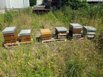 Ruches et abeilles de repeuplement.

Depuis 2013, Pressi-Mobile lutte activement contre le gâchis alimentaire, en vous incitant à ramasser vos fruits à...