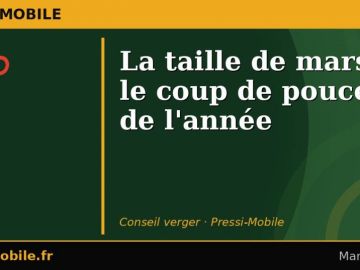 🌿 La taille de printemps, c'est maintenant !

Avant que les bourgeons s'ouvrent vraiment, prenez vos sécateurs. C'est le moment idéal pour façonner vos...